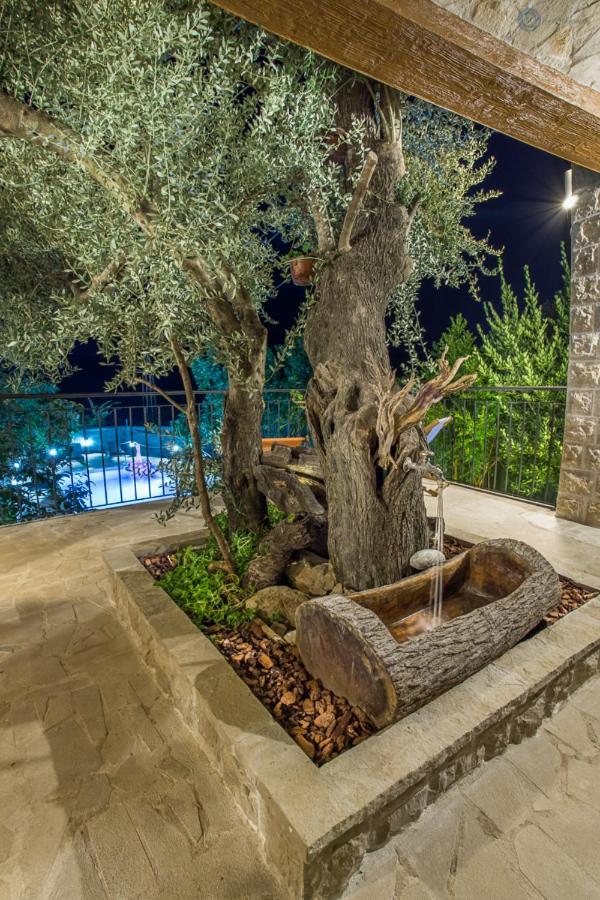 Villa Marco Polo Budva Exteriér fotografie