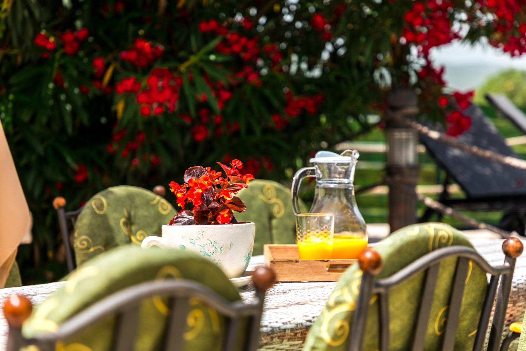 Villa Marco Polo Budva Exteriér fotografie